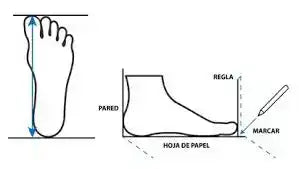ZAPATO CLASICO VLZ™